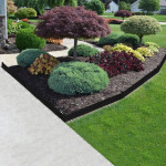 Affordable Lawn mowing, Yard cleaning, Tree work, bush clearance, etc