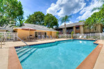 Swimming pool area at Park at Murano apartments in Fort Myers, featuring lounge chairs and palm trees.