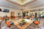 Cozy lounge area in a charming 1x1 apartment home at The Park at Positano, Fort Myers.
