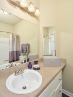 A home for everyone - even your pets! Pet friendly 2 bed / 2 bath!