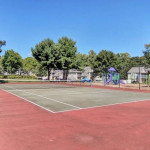 $1641-Large One Bedroom at Breezewood