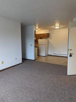 Peck Apartments - 84 WRebecca st- 1 BED 1 BATH