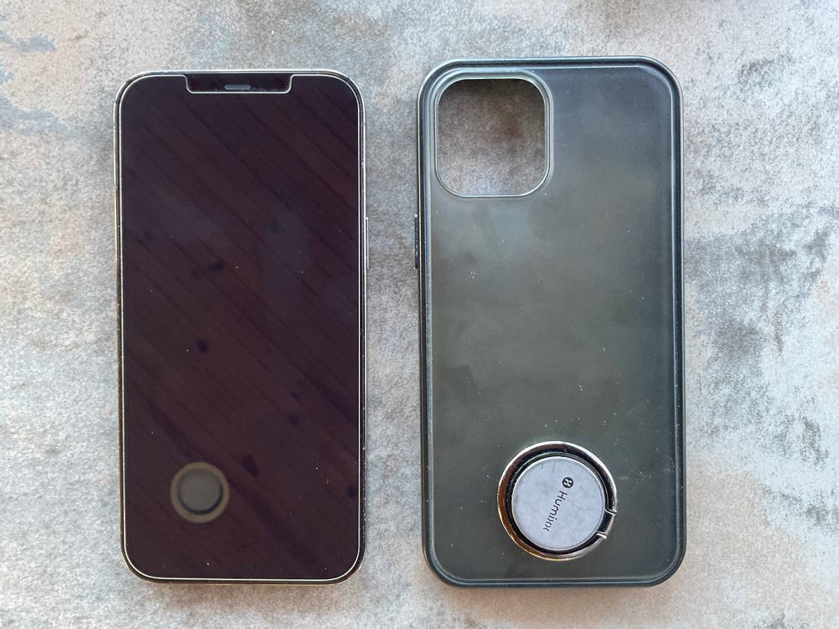 iPhone 12 Pro Max 256GB