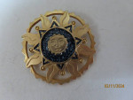 Gold Tone Sun Pin