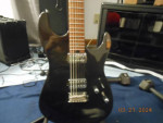 Soloking MS-1 custom