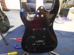 Soloking MS-1 custom