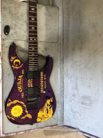 ESP LTD KH 602 PURPLE SPARKLE