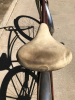 Schwinn not a Penny Less ya I got it