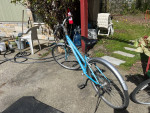 4 bikes for sale (CCM, MARIN,)