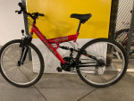 Mountain bike dual shock