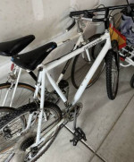 Vintage Raleigh road bike