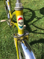 Western flyer buzz bike-All original adult size/tall child bicycle