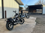Harley davidson street bob dyna