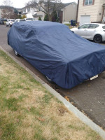 Covered 1956 Chevrolet Belair 9 passenger wagon parked on the street near homes and cars