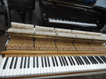 TOTALLY RESTORED STEINWAY ROCOCO STYLE III 8'6″ ROSEWOOD 1871 AVAILABLE