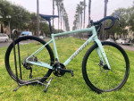 2024 Specialized  Diverge Elite E5 (Size:54cm)