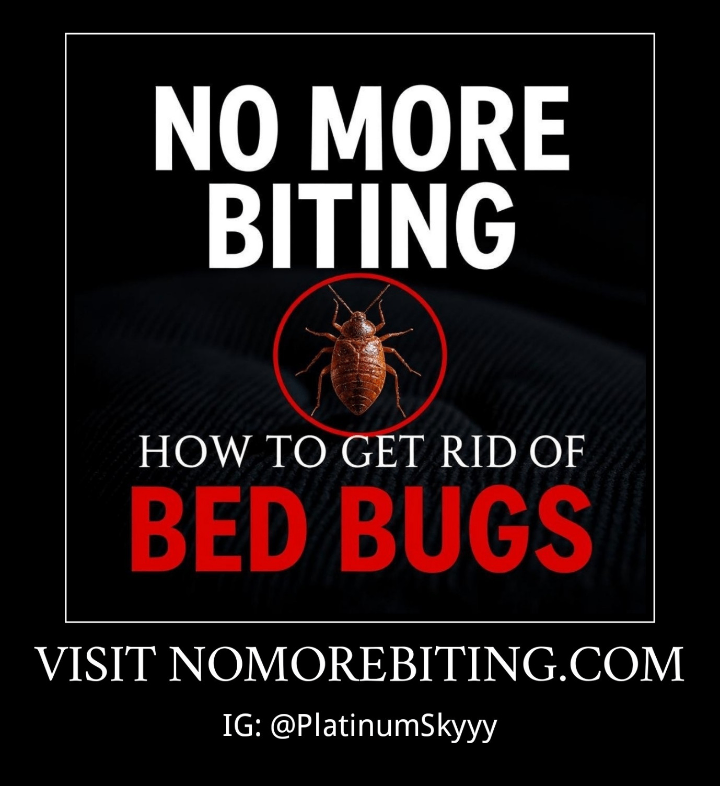 No More Biting: How To Get Rid Of Bed Bugs
