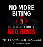 No More Biting: How To Get Rid Of Bed Bugs