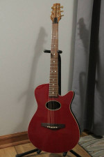 Peavey Ecoustic guitar made in USA