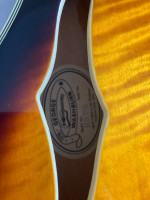 Washburn hb35 guitar with case