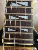 Washburn hb35 guitar with case