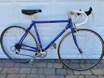 Schwinn Paramount series 7 PDG