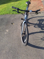 2023 Bird A-Frame E-Bike