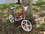 Interested in Purchasing Hutch, Kuwahara Redline Mongoose Torker GT CW