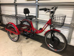 Adult EWheels Electric Trike Brand New Free Delivery