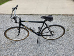Raleigh C30 Mens Bike