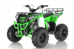 NEW APOLLO 125CC LARGE SIZE KIDS UTILITY ATV-BRAND NEW! BEST WARRANTEE