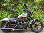 2021 Harley-Davidson Sportster XL1200NS - Iron 1200 V Twin 1202