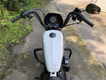 2021 Harley-Davidson Sportster XL1200NS - Iron 1200 V Twin 1202