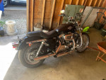 2008 Harley Davidson Sportster 1200
