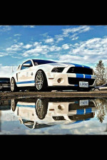 White Shelby GT500 with blue stripes parked near water, reflecting the vibrant sky.