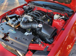Red Ford Mustang GT engine bay showcasing 4.6L V8 with immaculate condition and low mileage.