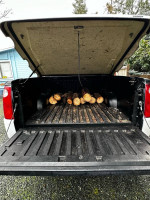 2001 Ford Explorer 73,000 mi