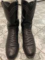 Justin Ropers Full Quill Ostrich