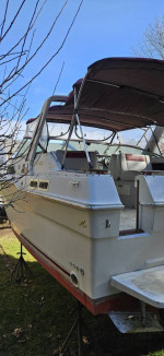 30' SeaRay Cabin Cruiser