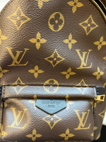Louis LV Mini Backpack Monogram Purse Bag
