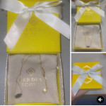 Kendra scott neckless